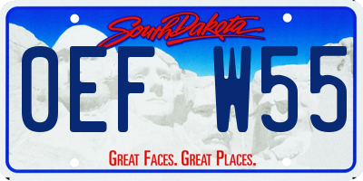 SD license plate 0EFW55