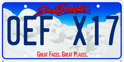 SD license plate 0EFX17