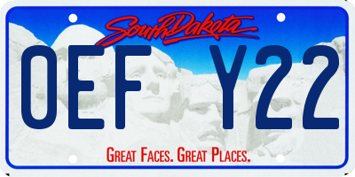 SD license plate 0EFY22