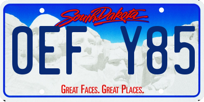 SD license plate 0EFY85