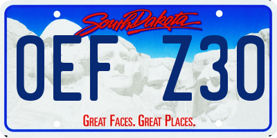 SD license plate 0EFZ30
