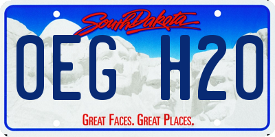 SD license plate 0EGH20