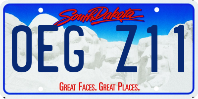 SD license plate 0EGZ11