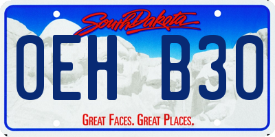 SD license plate 0EHB30