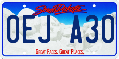 SD license plate 0EJA30