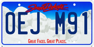 SD license plate 0EJM91