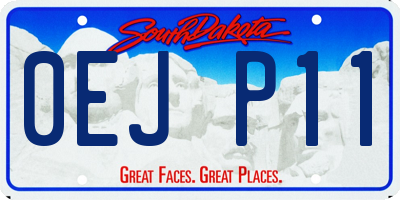 SD license plate 0EJP11