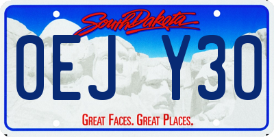 SD license plate 0EJY30