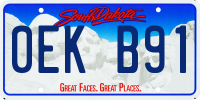 SD license plate 0EKB91