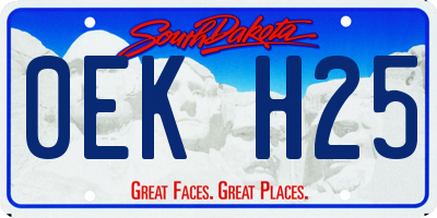 SD license plate 0EKH25