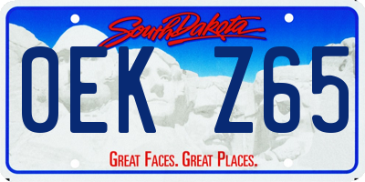 SD license plate 0EKZ65