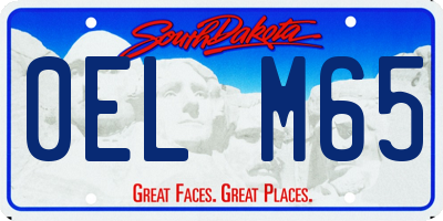 SD license plate 0ELM65