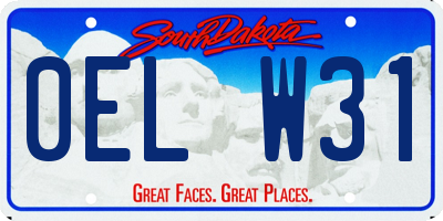 SD license plate 0ELW31