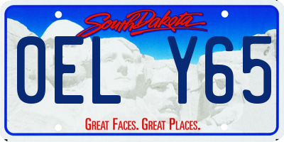 SD license plate 0ELY65