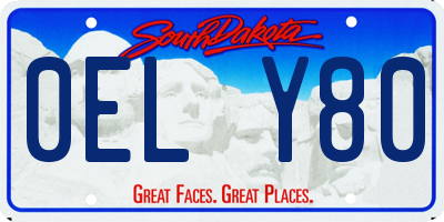 SD license plate 0ELY80