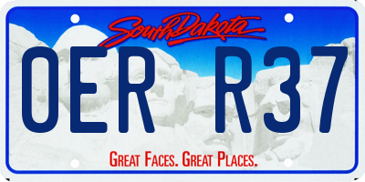 SD license plate 0ERR37