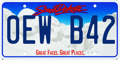 SD license plate 0EWB42