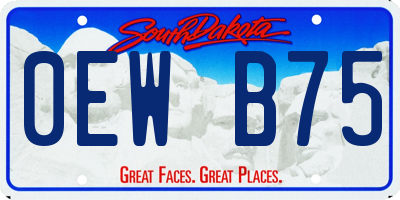 SD license plate 0EWB75