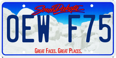 SD license plate 0EWF75