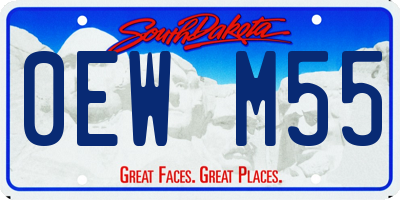 SD license plate 0EWM55