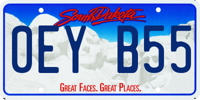 SD license plate 0EYB55