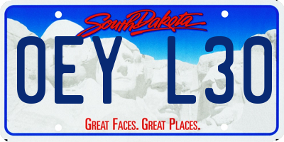 SD license plate 0EYL30