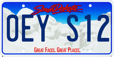 SD license plate 0EYS12