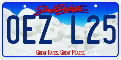 SD license plate 0EZL25