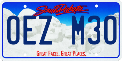 SD license plate 0EZM30