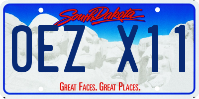 SD license plate 0EZX11