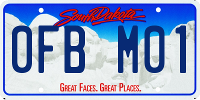 SD license plate 0FBM01