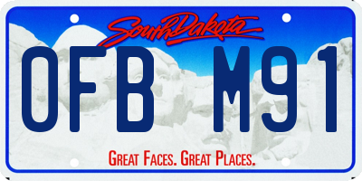 SD license plate 0FBM91