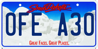 SD license plate 0FEA30