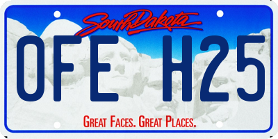 SD license plate 0FEH25