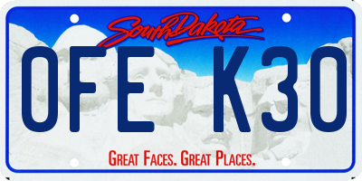 SD license plate 0FEK30
