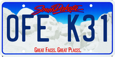 SD license plate 0FEK31