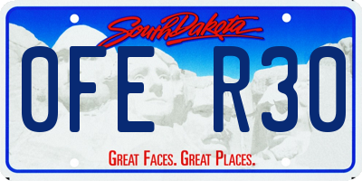 SD license plate 0FER30