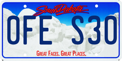 SD license plate 0FES30
