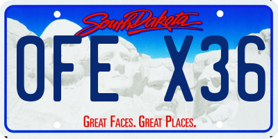 SD license plate 0FEX36