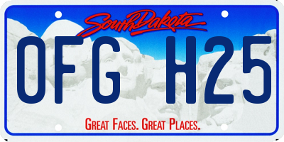 SD license plate 0FGH25