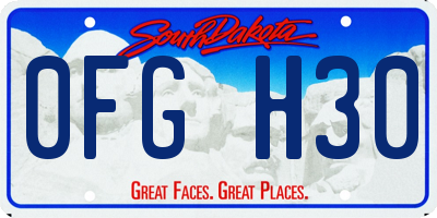 SD license plate 0FGH30