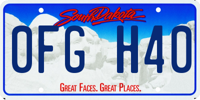 SD license plate 0FGH40