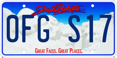 SD license plate 0FGS17