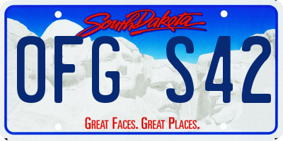SD license plate 0FGS42