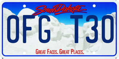 SD license plate 0FGT30