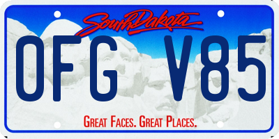 SD license plate 0FGV85