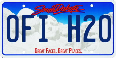 SD license plate 0FIH20