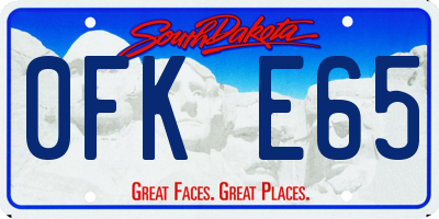 SD license plate 0FKE65