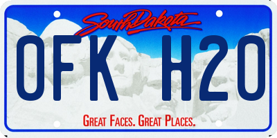 SD license plate 0FKH20
