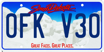 SD license plate 0FKV30
